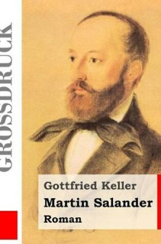 Cover of Martin Salander (Grossdruck)
