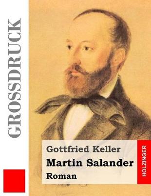 Book cover for Martin Salander (Grossdruck)