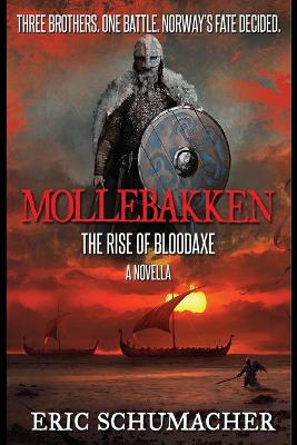 Book cover for Mollebakken - Hakon's Saga Prequel