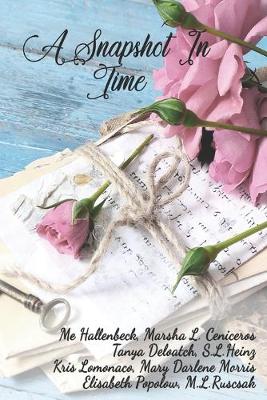 Book cover for A snapshot Time