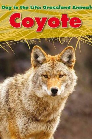 Cover of Coyote (A Day in the Life: Grassland Animals)