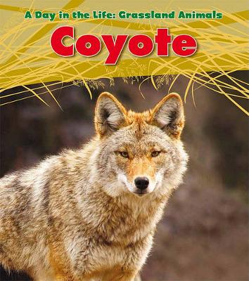 Book cover for Coyote (A Day in the Life: Grassland Animals)