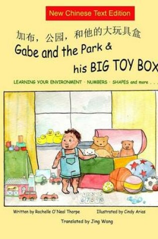 Cover of Gabe and the Park & His BIG TOY BOX (NEW Simplified ONLY)