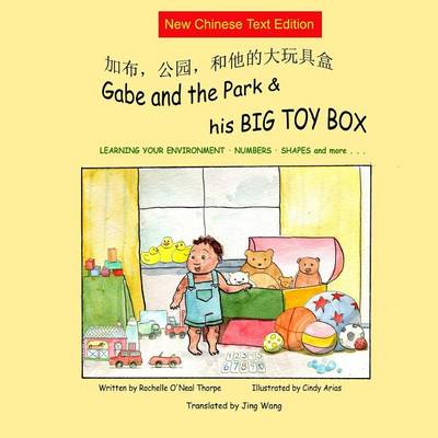 Book cover for Gabe and the Park & His BIG TOY BOX (NEW Simplified ONLY)