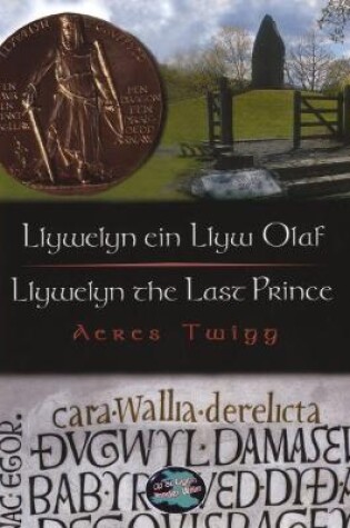Cover of Cyfres Cip ar Gymru / Wonder Wales: Llywelyn ein Llyw Olaf