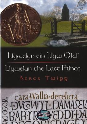 Book cover for Cyfres Cip ar Gymru / Wonder Wales: Llywelyn ein Llyw Olaf