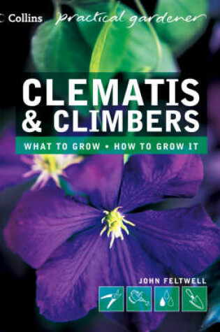 Cover of Clematis and Climbers