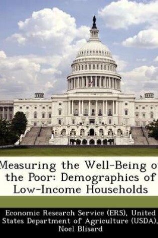 Cover of Measuring the Well-Being of the Poor