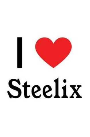 Cover of I Love Steelix