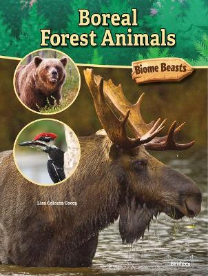 Cover of Boreal Forest Animals