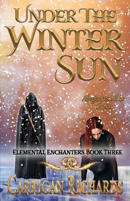 Book cover for Under the Winter Sun