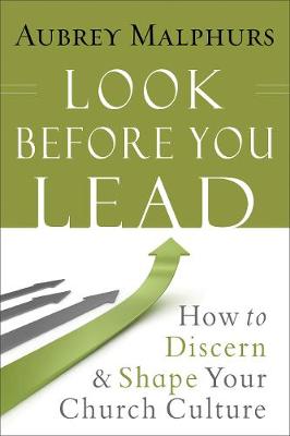 Book cover for Look Before You Lead