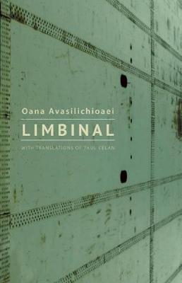 Book cover for Limbinal