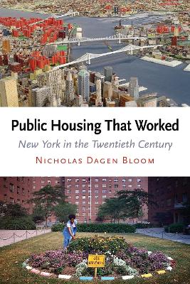 Book cover for Public Housing That Worked