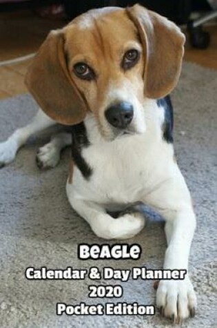 Cover of Beagle Calendar & Day Planner 2020 Pocket Edition
