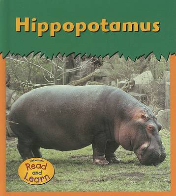 Book cover for Hippopotamus *zooani