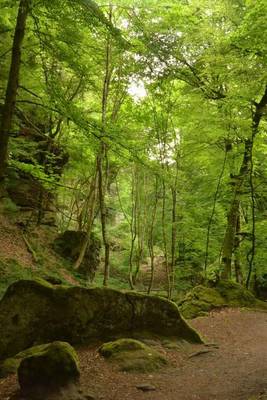 Book cover for Echternach Luxembourg Forest Journal