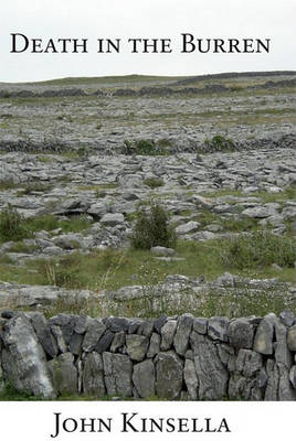 Book cover for Death in the Burren