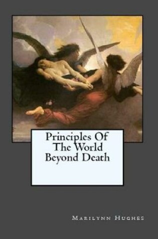 Cover of Principles of the World Beyond Death