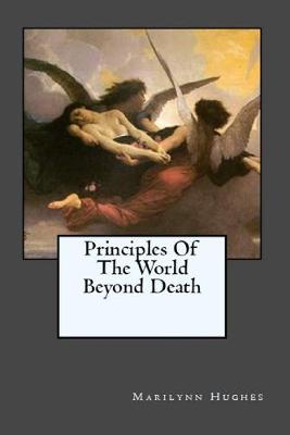 Book cover for Principles of the World Beyond Death