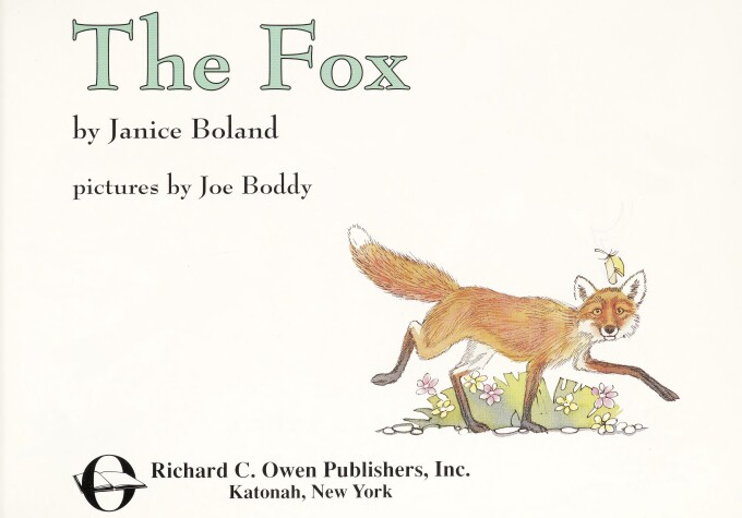 Book cover for Fox