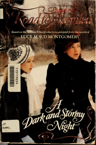 Cover of A Dark and Stormy Night