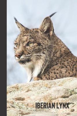 Cover of Iberian Lynx