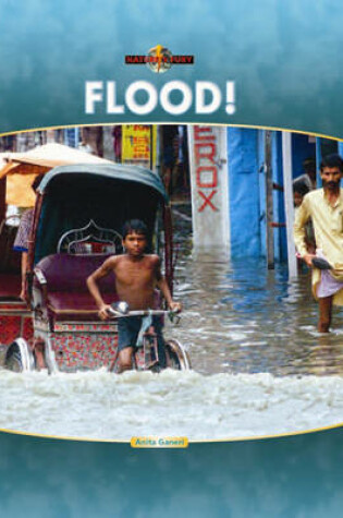 Cover of Flood