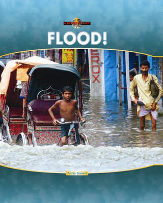 Cover of Flood