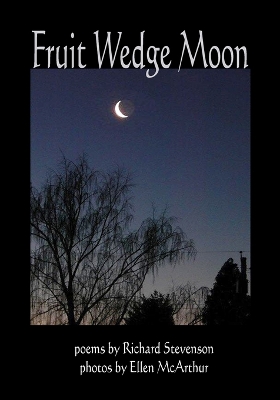 Book cover for Fruit Wedge Moon