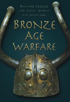 Book cover for Bronze Age Warfare