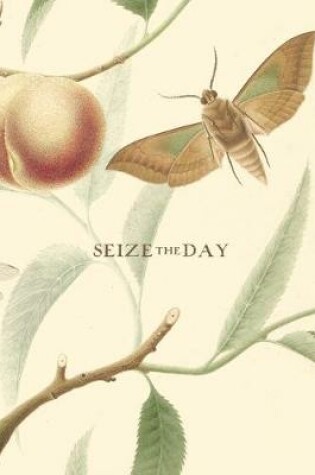 Cover of Seize the Day