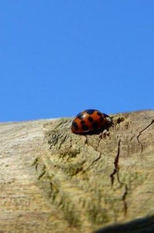 Cover of A Ladybug on a Log Journal