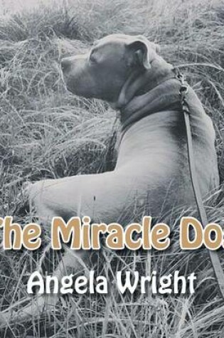 Cover of The Miracle Dog