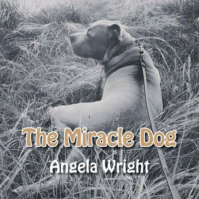 Book cover for The Miracle Dog