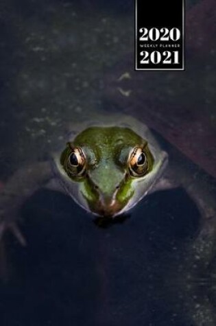 Cover of Frog Toad Week Planner Weekly Organizer Calendar 2020 / 2021 - Luminous Eyes