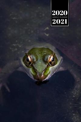Book cover for Frog Toad Week Planner Weekly Organizer Calendar 2020 / 2021 - Luminous Eyes