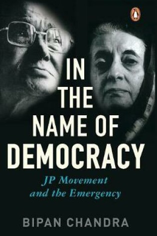 Cover of In the Name of Democracy