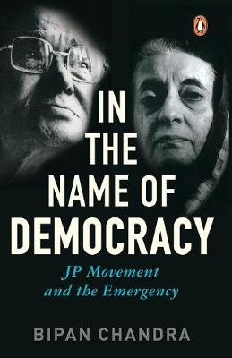 Book cover for In the Name of Democracy