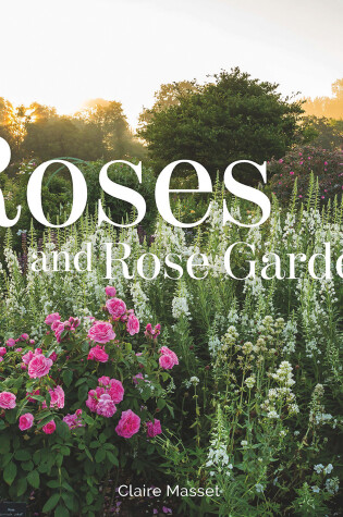 Cover of Roses and Rose Gardens