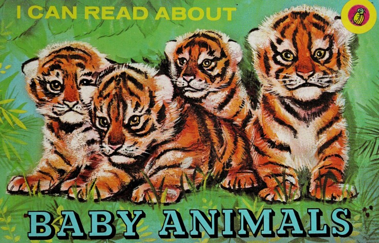 Book cover for Baby Animals