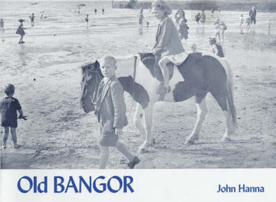 Book cover for Old Bangor