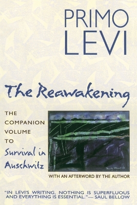 Book cover for The Reawakening