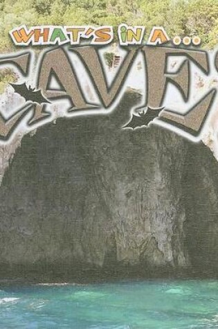 Cover of Cave