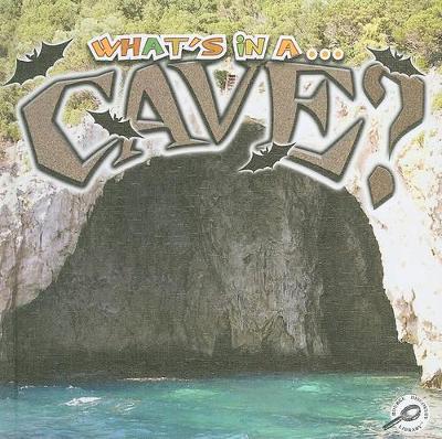 Cover of Cave