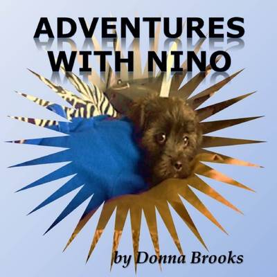 Book cover for Adventures with Nino