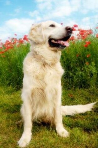 Cover of Golden Retriever Dog with Poppies Journal