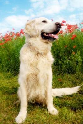 Book cover for Golden Retriever Dog with Poppies Journal