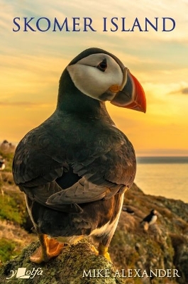 Book cover for Skomer Island - Its History and Natural History