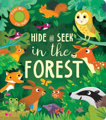 Book cover for Hide and Seek In the Forest